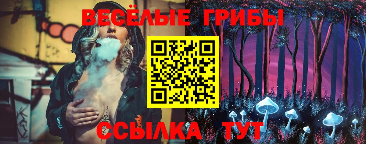 Псилоцибиновые грибы мухоморы Сланцы