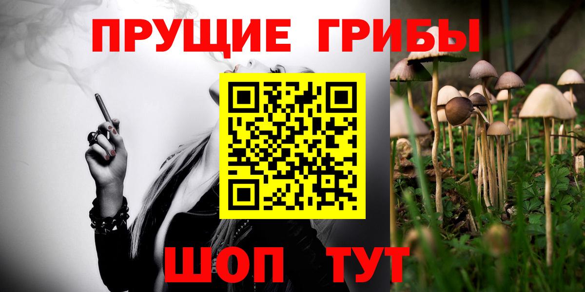 Галлюциногенные грибы мицелий  Вход с VPN  Сланцы 